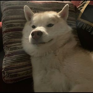 Meet your Posher, Annemarie